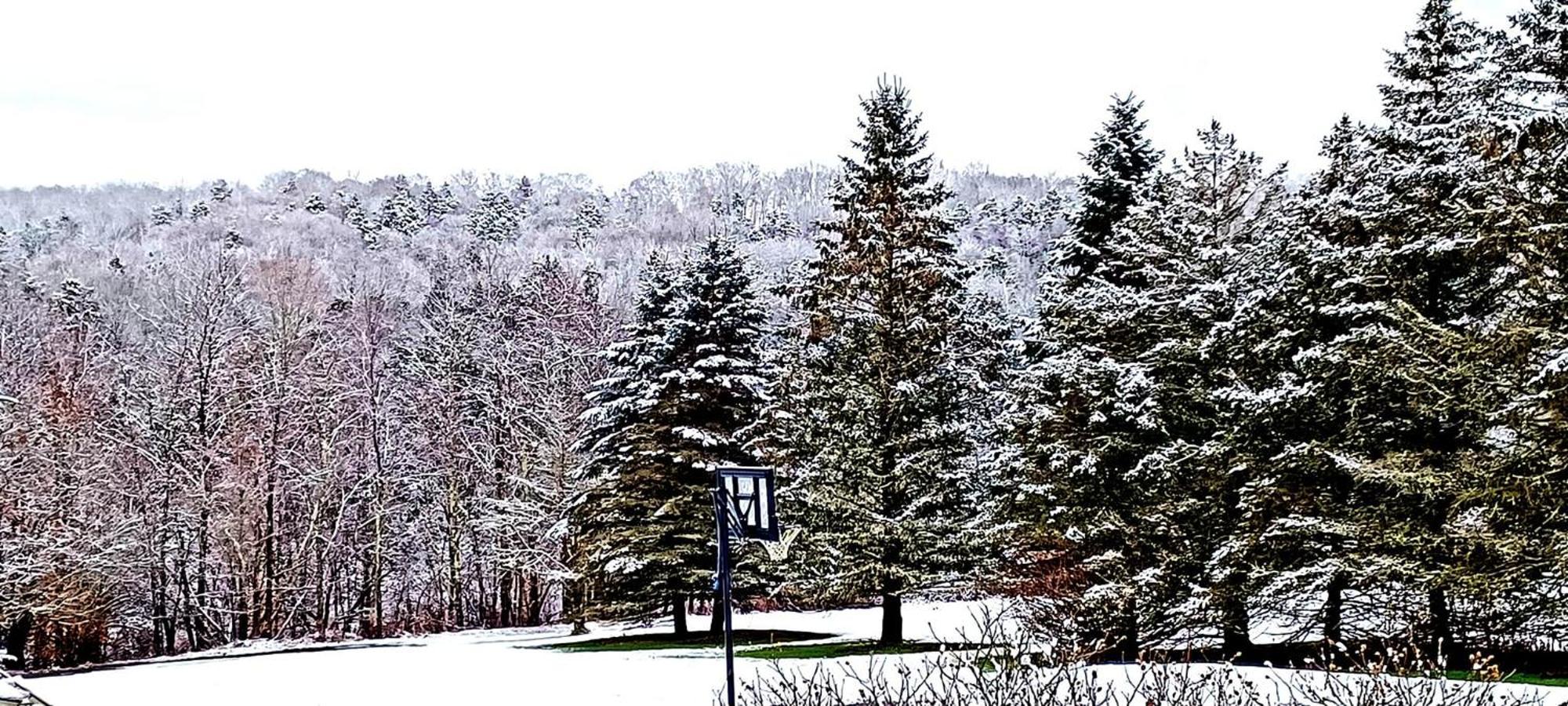 Escape To The Catskills Либерти Экстерьер фото